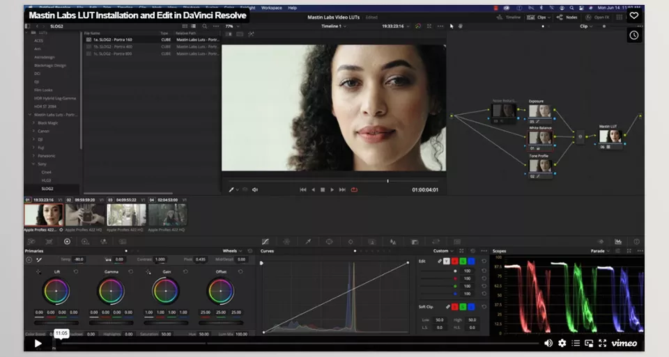 Portra Original Video LUTs - Using our refined systems, you can transform your footage quickly and effectively.