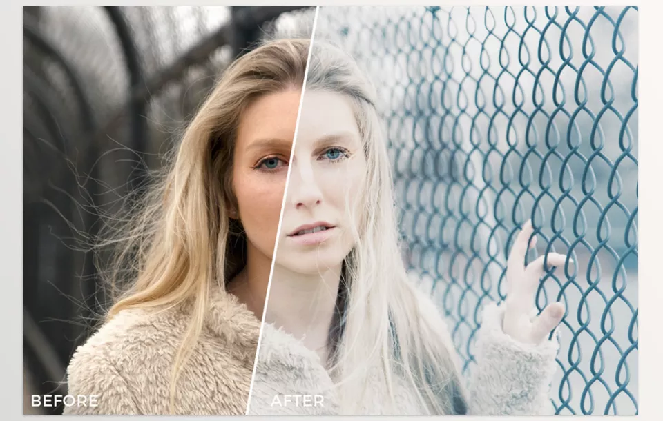 Meisner Media House Luts - Extensive Collection will include fifty-nine diverse film look-up tables For vast-ranging creativity possibilities full of options such as Enhanced Dynamic Range. 