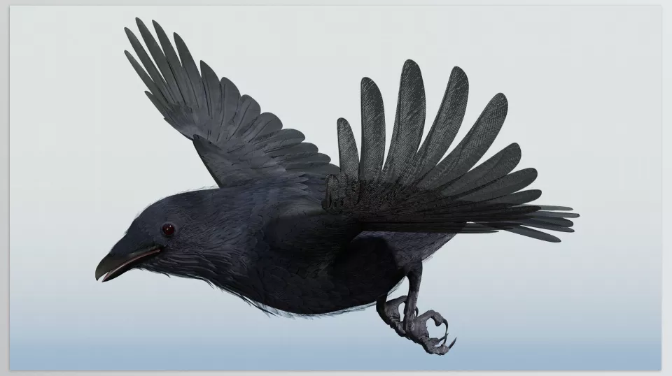 3D Software - CROW - Fine tune animated wing movements through multiple morph targets and bone controls to achieve the desired animation intricacy.