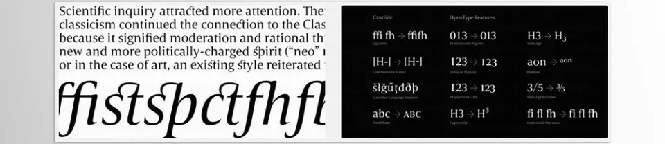 Candide Font Family - It can be used in any elevated publication, and the family will always enhance its beauty.