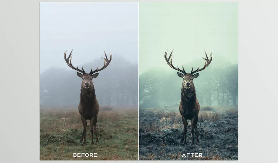 Deep Moody Preset Collection and Luts - Effortlessly enhance your Photography into new Cinematic levels.