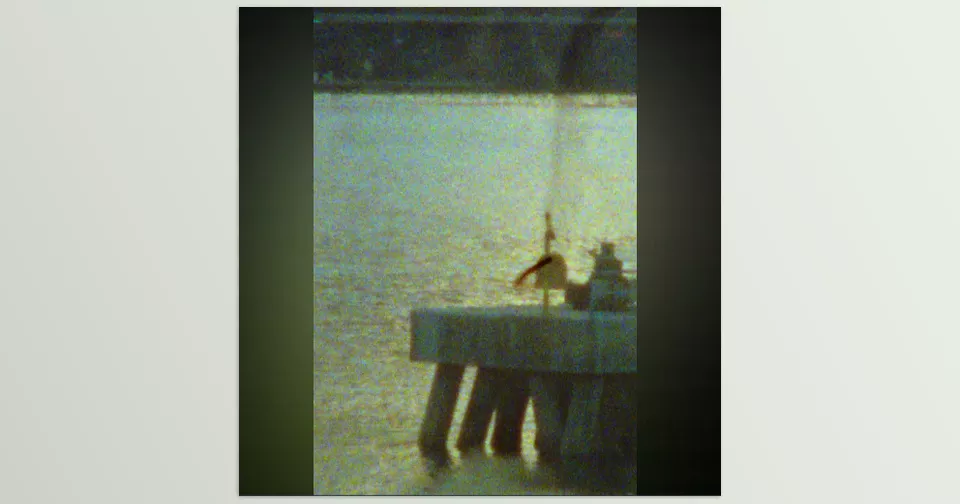 Vertical Film Transitions - Blend scenes together for a polished, professional appearance.