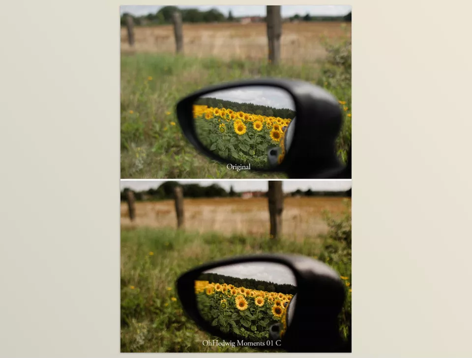  Oh Hedwig Moments Lightroom Presets - Infuse a bit of timeless charm into your images, giving them a classic feel.