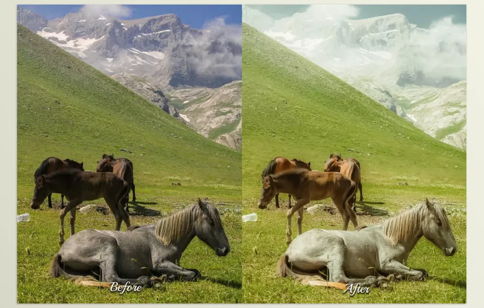 30 Village LUT Collection - Your outdoor scenes are no longer ordinary. You can transform them into vivid enchanting stories.