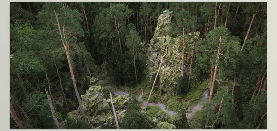Dynamic Pine Biomes - Extra Biome For Distance Trees