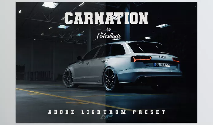 Lightroom Preset – Carnation Adobe Lightroom Preset by Voleshads – Download