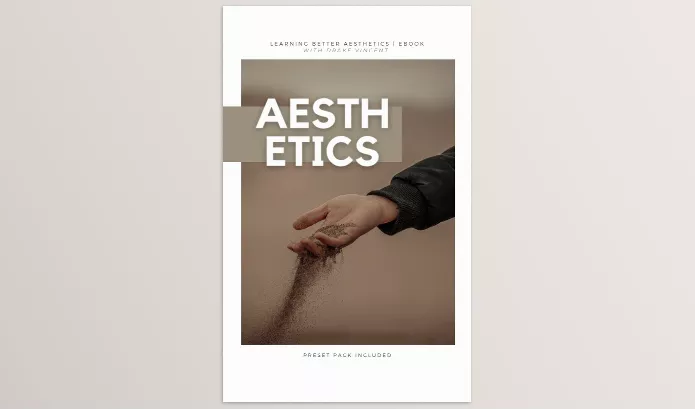 Lightroom Preset – Building A Better Aesthetic Ebook + Presets by Drake Vincent – Download