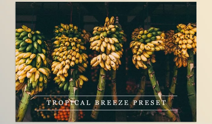 Lightroom Preset – Tropical breeze Lightroom preset by LovelyPhotoPrints – Download