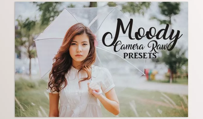 Lightroom Preset – Camera Raw Preset Collection by Bamboobear Books Shop – Download