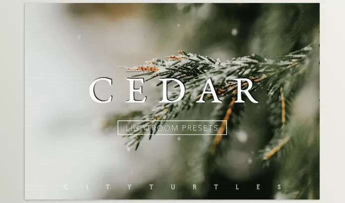 Lightroom Preset – CEDAR Subtle Moody Lightroom Presets by CityTurtles – Download