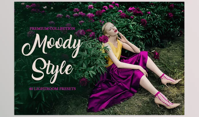 Lightroom Preset – Moody Style Presets for Lightroom by FixThePhoto – Download