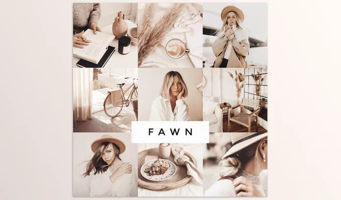 Lightroom Preset – Fawn Lightroom Presets by Loox Preset – Download