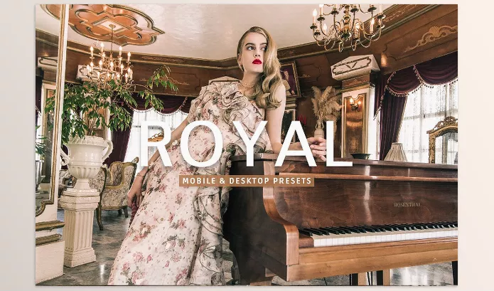 Lightroom Preset – Royal Pro Lightroom Presets by Creativetacos – Download