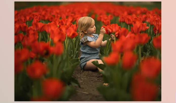Lightroom Preset – NATURA PRESETS by Meridian Presets – Download