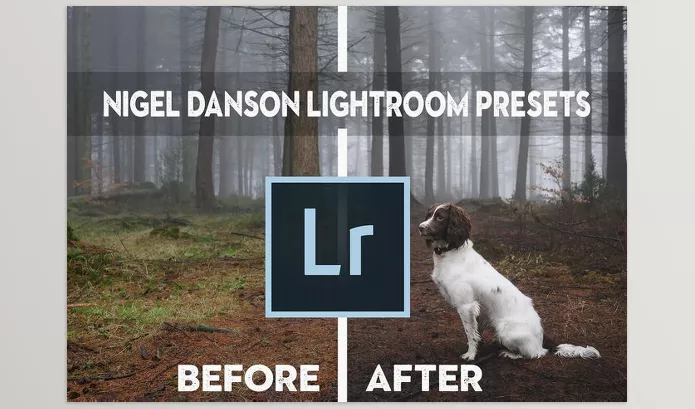 Lightroom Preset – Nigel Danson Lightroom Presets – Download