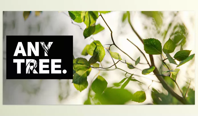 Blender Addon – Anytree – Trees With Any Shape by Bad Normals – Download