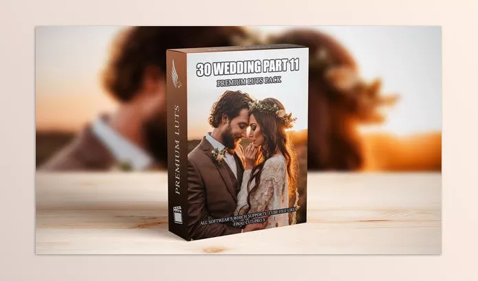 Motion Template – Best Cinematic LUTs for Wedding Videos by aaapresets – Download 50111355