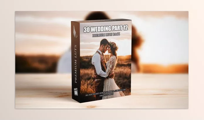 FCP Template – Professional Cinematic LUTs Collection by aaapresets – Download 50111508