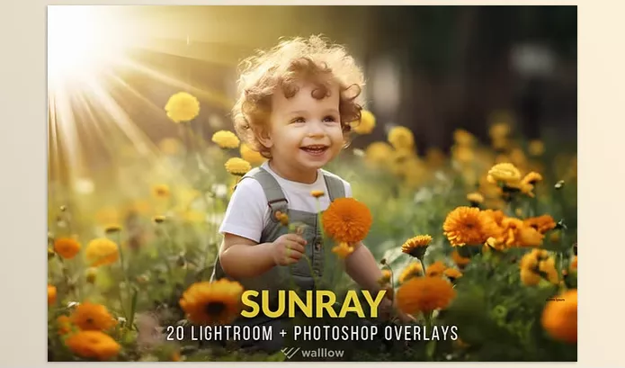 Asset – Sunlight photo overlays PNG and JPG by Walllow Creatives – Download
