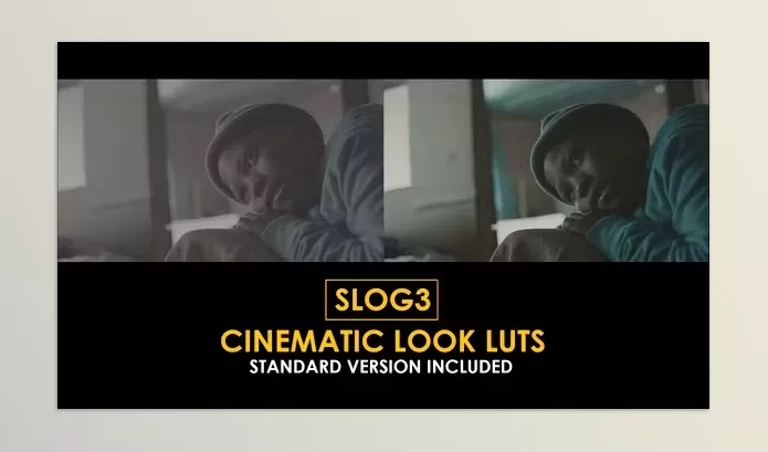 Motion Template – Slog3 Cinematic Look and Standard Color LUTs by Playground_Studio – Download 51046255