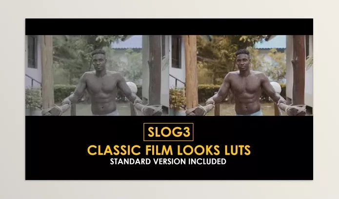 Motion Template – Slog3 Classic Film Looks and Standard Color LUTs by Playground_Studio – Download 51047580