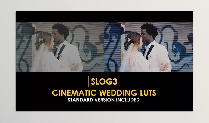 Motion Template – Slog3 Cinematic Wedding and Standard Color LUTs by Playground_Studio – Download 51047618