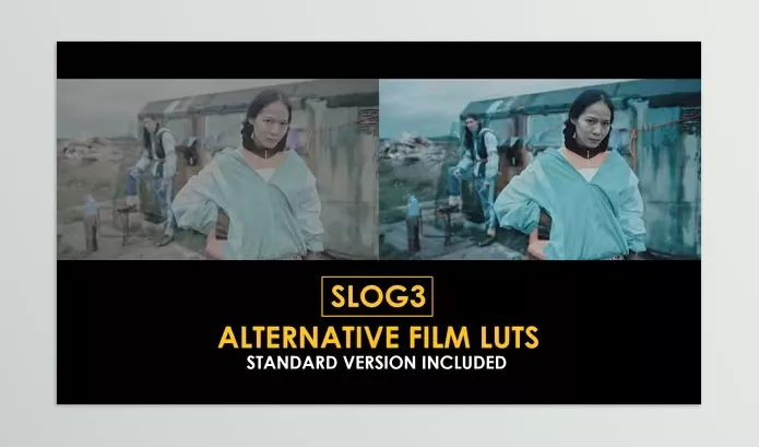 Motion Template – Slog3 Alternative Film and Standard Color LUTs by Playground_Studio – Download 51047314