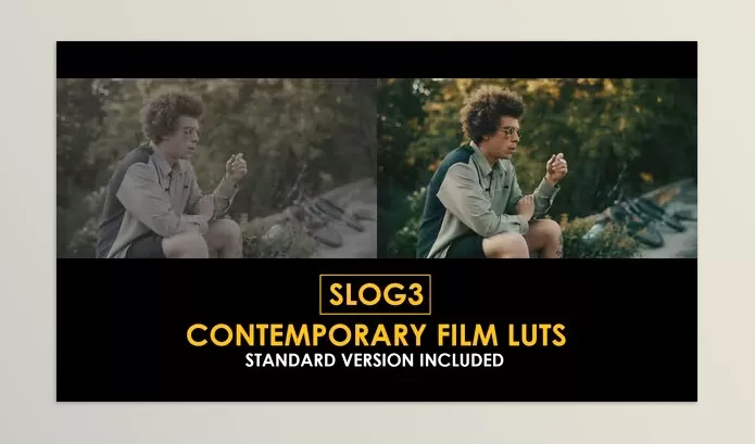 Motion Template – Slog3 Contemporary Film and Standard Color LUTs by Playground_Studio – Download 51048036