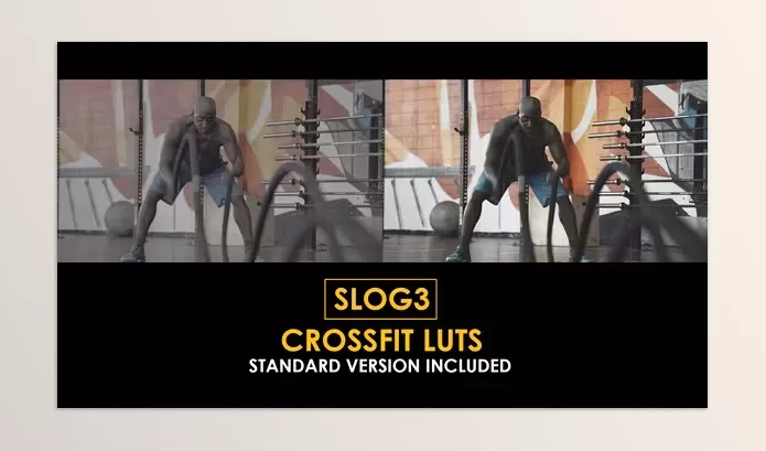 Motion Template – Slog3 Crossfit and Standard Color LUTs by Playground_Studio – Download 51048050