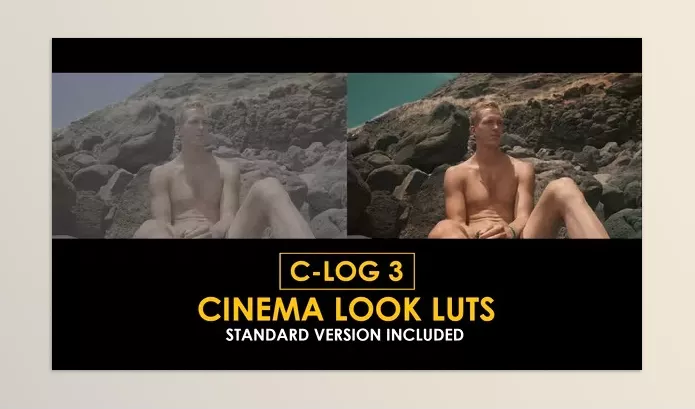 LUT Pack – C Log3 Cinema Look and Standard Color LUTs by Playground_Studio – Download 50930792