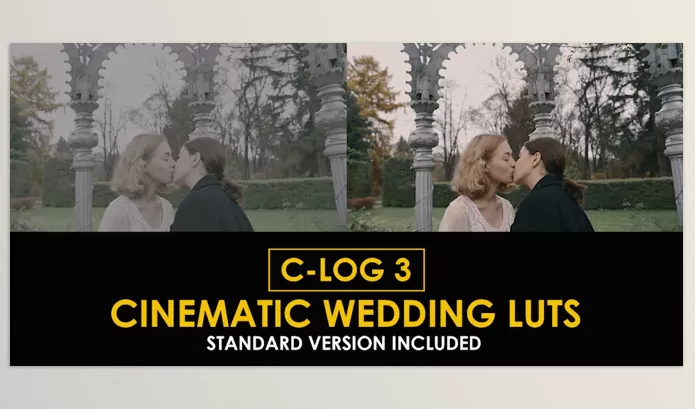 LUT Pack – C Log3 Cinematic Wedding and Standard Color LUTs by Playground_Studio – Download 50930806