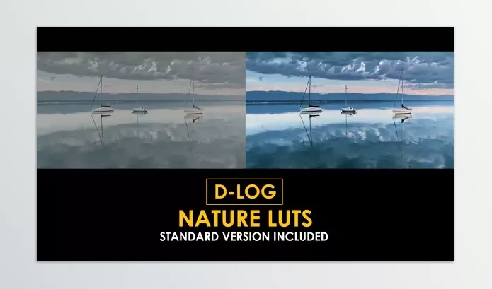 LUT Pack – D Log Cinema Drone Film Color LUTs by Playground_Studio – Download 50930932