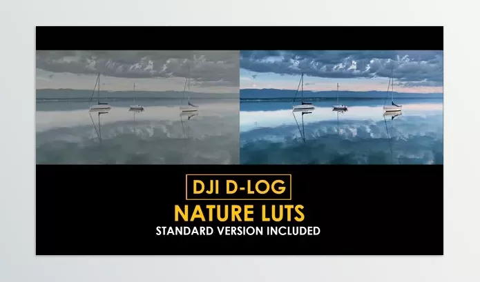 LUT Pack – D Log Nature Color LUTs by Playground_Studio – Download 50930941