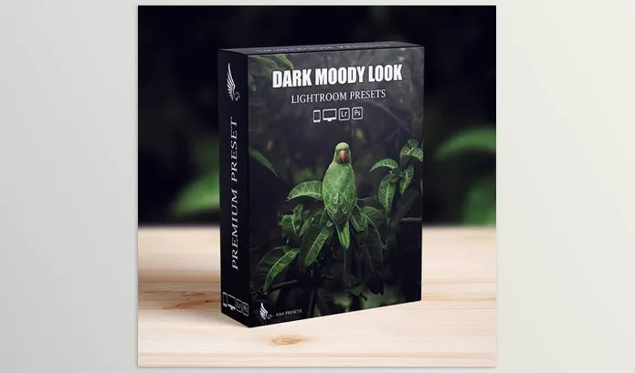 Lightroom Preset – Dark Moody New Look Lightroom Presets Pack by aaapresets – Download 52396382
