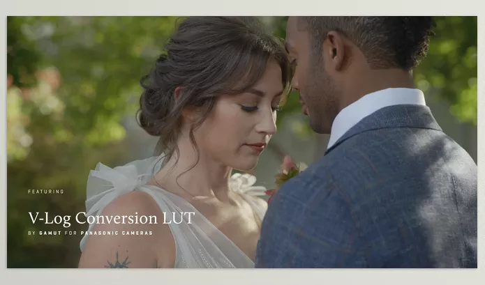 LUT Pack – Panasonic BaseLUTs for V-Log by gamut – Download