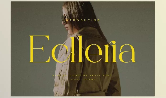 Font – Eclleria Stylish Serif Font by Aqeel_Art – Download