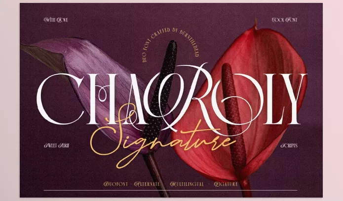 Font – Charoly Signature by Burntilldead – Download