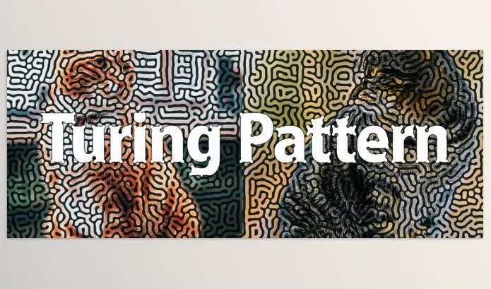 Plugin – Turing Pattern by HanaYuki – Download