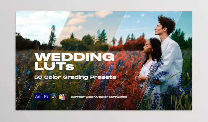 LUT Pack – Colorify Wedding LUTs by Pixflow – Download 35877709