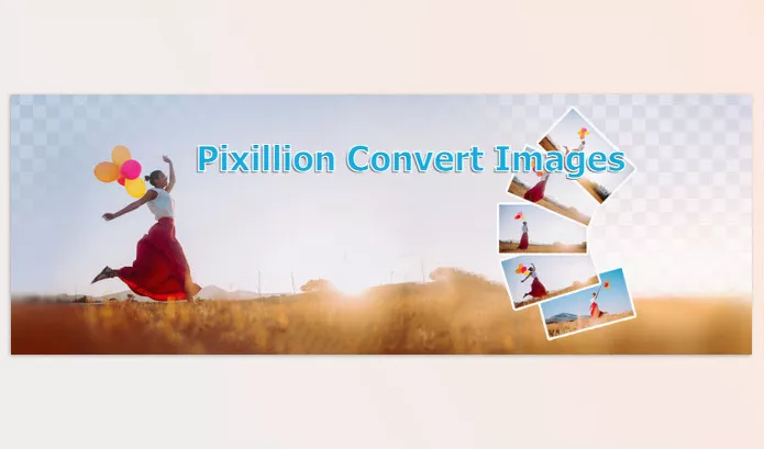 Software – Pixillion Image Converter Plus by NCH Software – Download