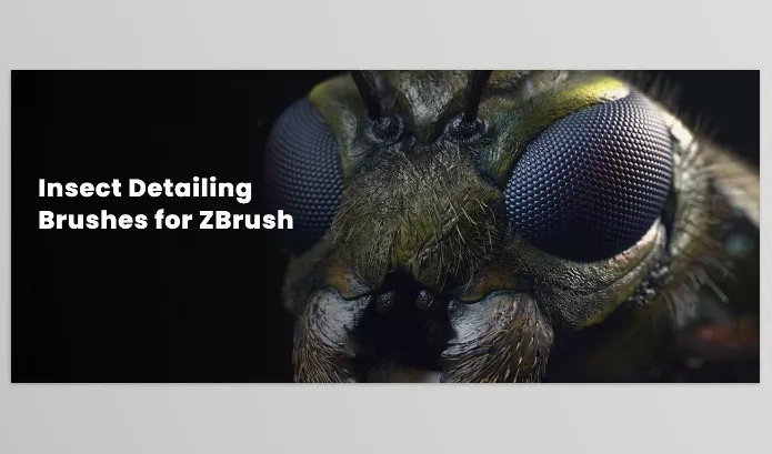 Asset – Insect Detailing Brushes for ZBrush by Zbrushguides – Download
