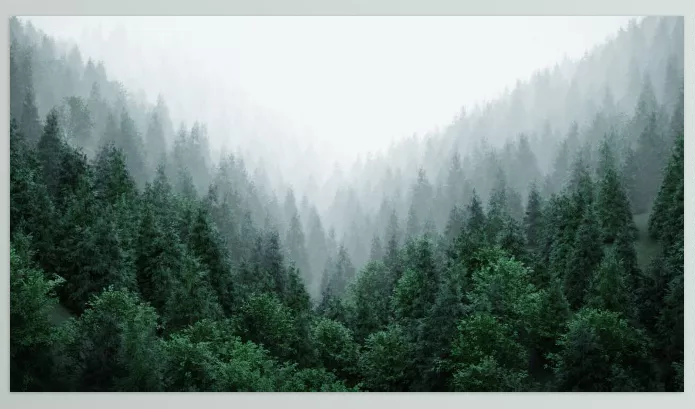 Plugin – Wolf Studio Art All Blender Collections – Download