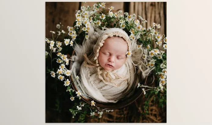 Lightroom Preset – Floral Matte LR by Twig and Olive – Download