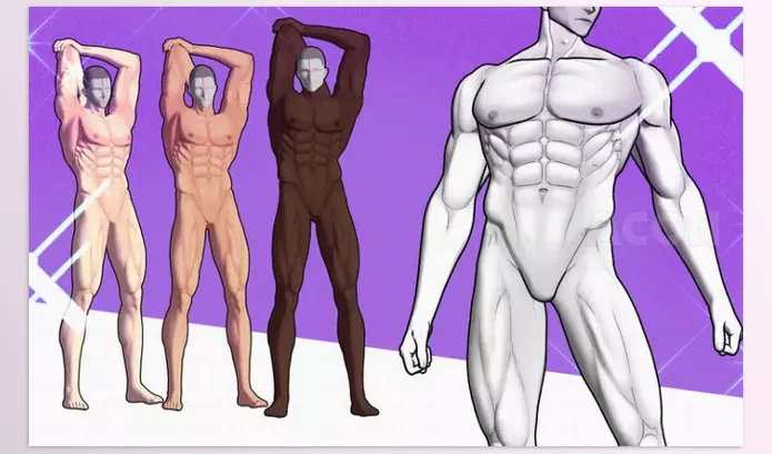 Asset – 3D Buff Man A2 by Acon3D – Download
