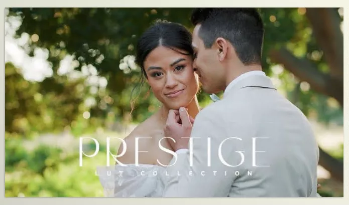 Lightroom Preset – Prestige by GAMUT – Download