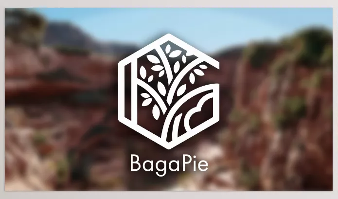 Blender Addon – Bagapie Assets by antoine bagattini – Download