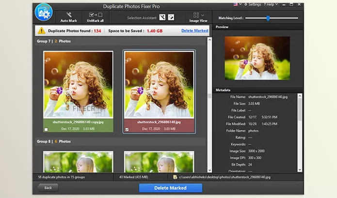 Software – Duplicate Photos Fixer Pro by Systweak Software – Download