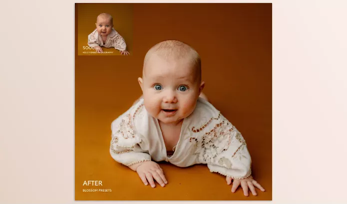 Lightroom Preset – Blossom Lightroom ACR Presets by Jessicagphotography – Download