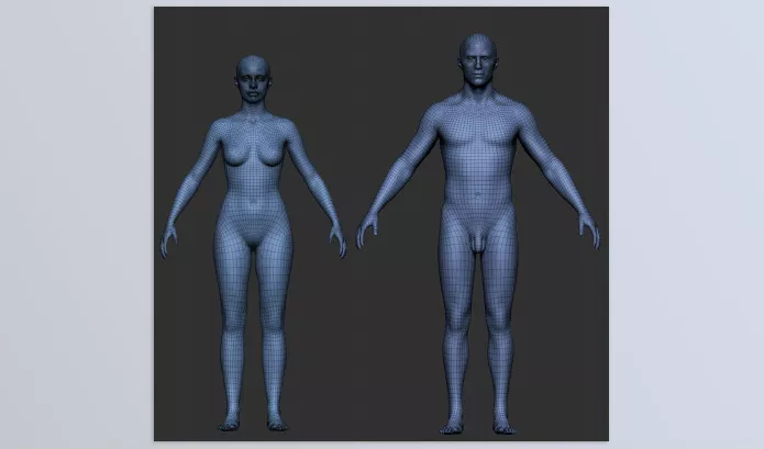 Plugin – Pro Male and Female Basemesh 45K by 3dcharacter – Download