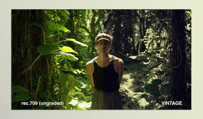 LUT Pack – Creative Filmmaking Luts by Danny Gevirtz – Download